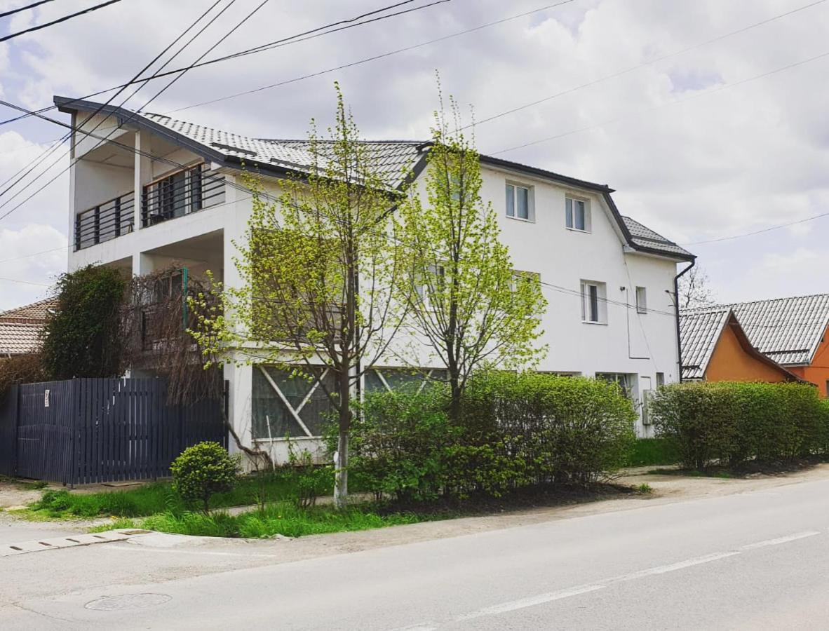 Appartement Casa Sâncrai à Târgu-Mureş Extérieur photo